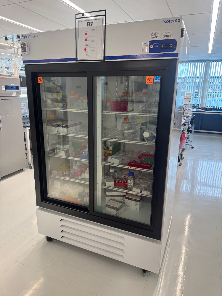 Image of Fisherbrand Isotemp Double Door Refrigerator